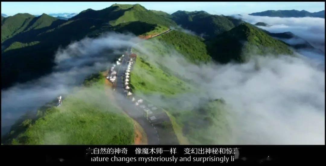 【一月一主题文明实践活动】济南市莱芜区杨庄镇美德志愿服务活动:暖冬更换垃圾桶 镇域“颜值”再提升